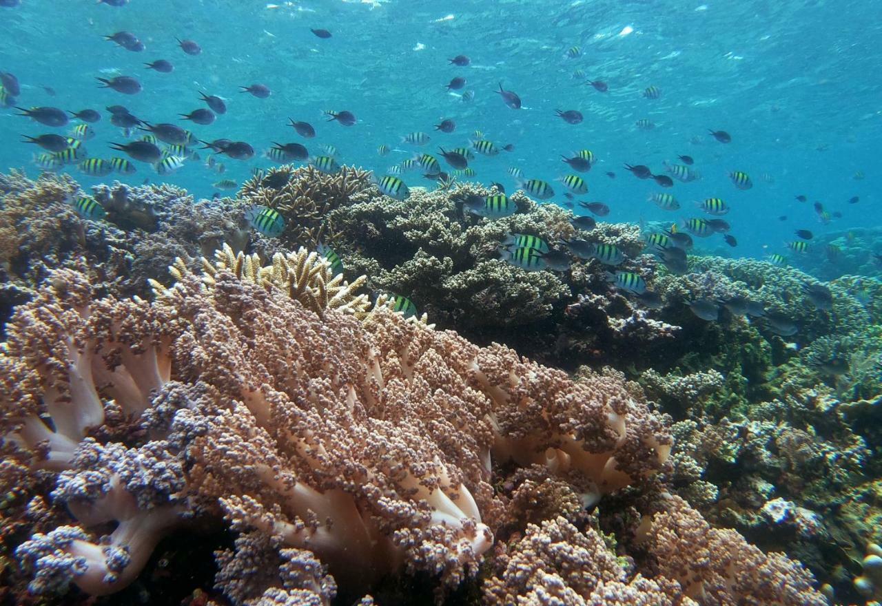 3Will Bunaken Dive Resort מראה חיצוני תמונה
